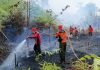 PT REKI Perkuat Pertahanan Hutan Harapan dari Karhutla Upaya Penanganan Karhutla PT REKI