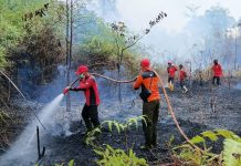 Upaya Penanganan Karhutla PT REKI