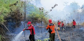 Upaya Penanganan Karhutla PT REKI