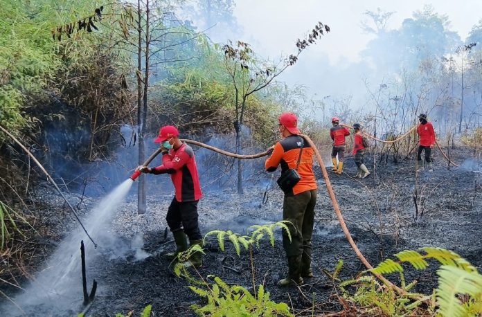 Upaya Penanganan Karhutla PT REKI (6) (2) Upaya Penanganan Karhutla PT REKI